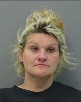 Kristin Vanairsdale mug shot